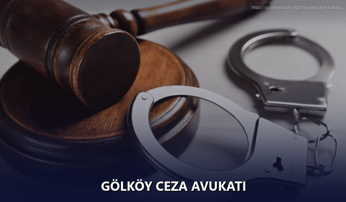 Gölköy Ceza Avukatı